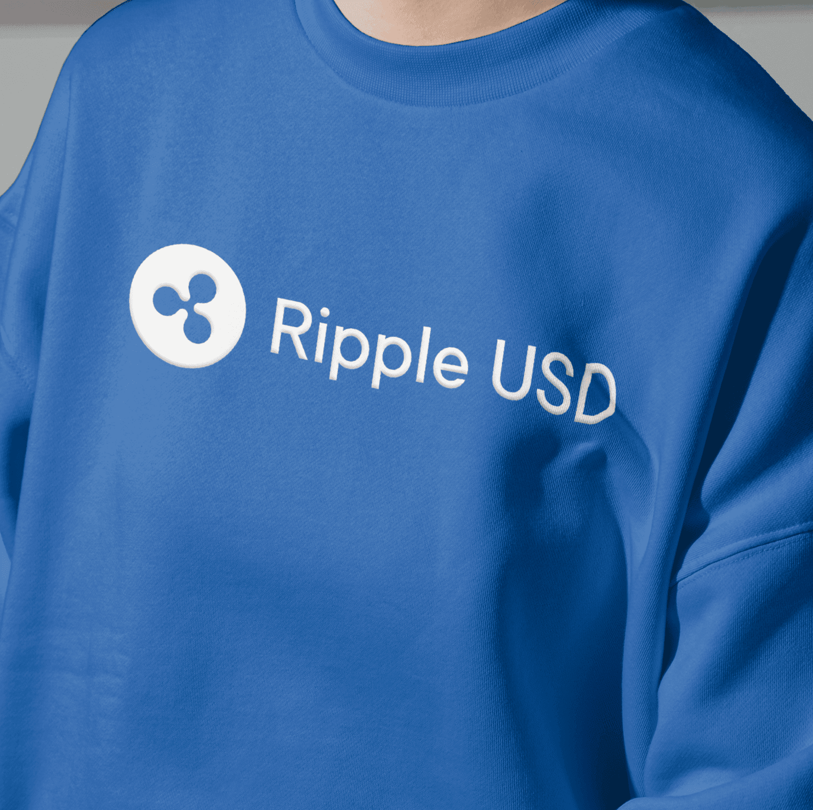 Stablecoin RLUSD Check In